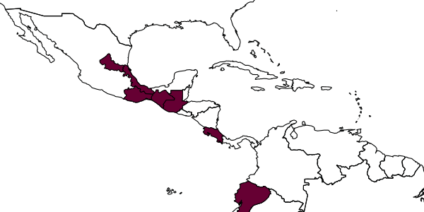 map of Neocorynura cribrita     Smith-Pardo, 2005